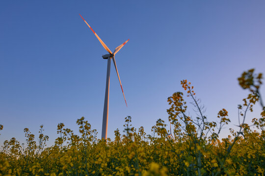 Wind turbines at sunset in green field &ndash; renewable energy, clean power, sustainable future.