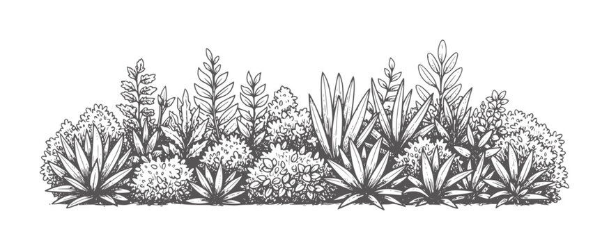 Hand drawn of diverse green foliage and plants in a border greenery leaves bushes