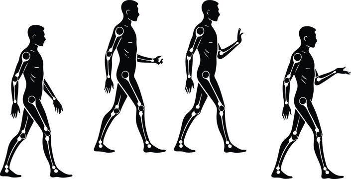 Human motion silhouette set with joints marked for walking animation cycle gait analysis biomechanics and ergonomic studies in medical healthcare or sports science vector illustration.