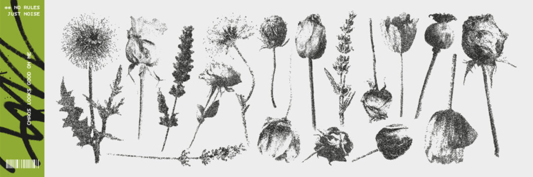 Rough Scanned Botanical Illustration Set with Photocopier Halftone Style