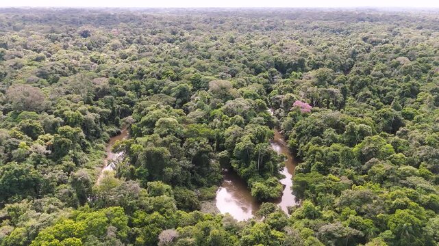 Cinematic Drone Footage of the Amazon Rainforest &ndash; Wild Rivers, Jungle Wildlife and Endless Tropical Wilderness