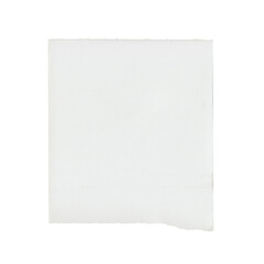 Fototapeta premium Flat Torn Edge Note Paper