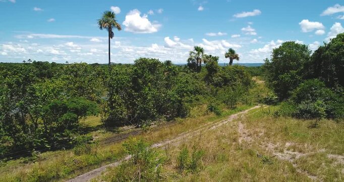 Sandy rural track crossing buriti palm wetland and cerrado vegetation near Arinos, Minas Gerais, Brazil within the Urucuia Plateau and S&atilde;o Francisco basin ecosystem. Drone oblique pullback descent