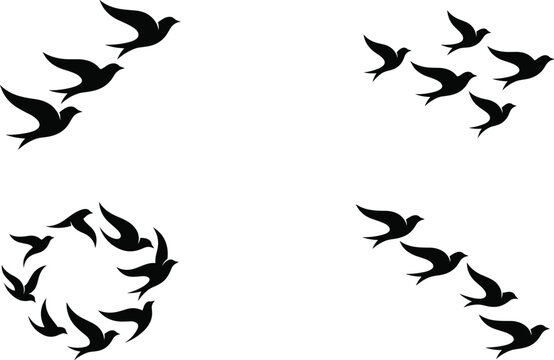 Bird silhouettes in flight formations including diagonal, clustered, curved, and circular patterns on white background for design use
