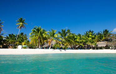 Obraz premium Sea beach. Tropical Maldives island with white sandy beach