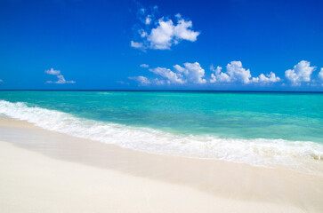 Obraz premium Sea beach. Tropical Maldives island with white sandy beach
