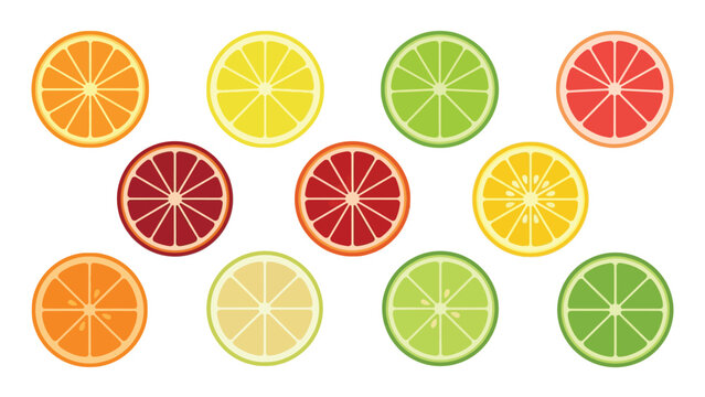 Set of colorful fresh citrus fruit slices isolated on white background.