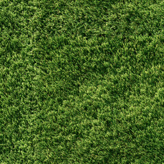 Fototapeta premium Seamless Tileable Lawn Grass Surface Texture Flat 3
