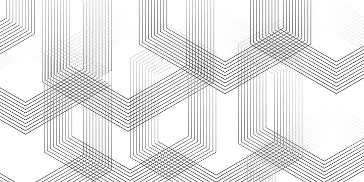 Abstract slash thin diagonal fabric parallel stripe black and white transparent line background. stripe diagonal line geometric white pattern technology textile background.