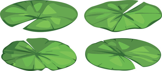 Set of Hand-Drawn Lily Pad Leaves, Minimalist Pond Plant Collection for Water Garden and Nature Illustrations © Shakhawat