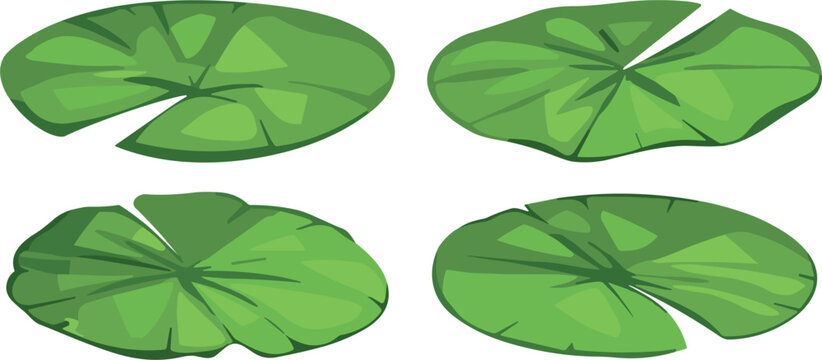 Set of Hand-Drawn Lily Pad Leaves, Minimalist Pond Plant Collection for Water Garden and Nature Illustrations