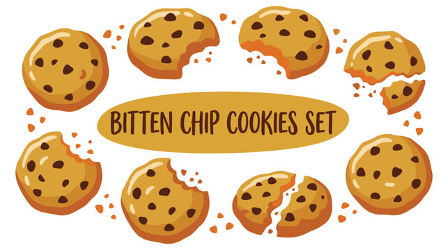 Set of delicious chocolate chip cookies with various bite marks now.