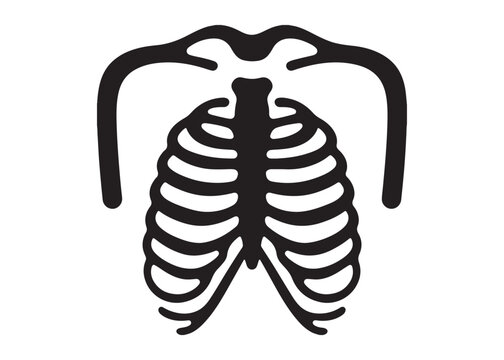 bone rib cage logo silhouette vector, human ribcage silhouette vector illustration, sternum logo silhouette vector, human skeleton rib cage logo silhouette design on white background