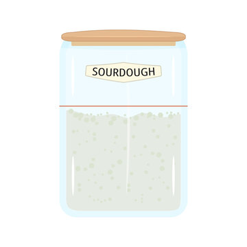 Sourdough starter jar on white background. Active wild yeast fermentation in glass jar with wooden lid. Homemade bread baking concept. Sourbread making process. Semi flat design. Vector illustration