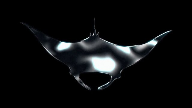Silver metallic manta ray silhouette. Alpha channel. Seamless loop video