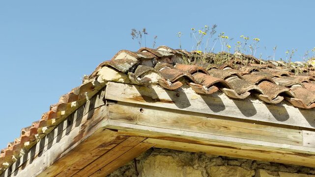 Weathered terracotta tiles rest atop crumbling wooden eaves and a rugged stone wall. The scene evokes a sense of forgotten history and the slow, peaceful takeover of nature by wild yellow flowers.