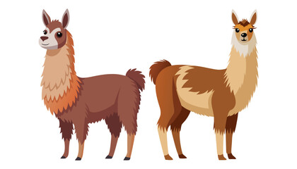 two llama clipart vector illustration © Nayon