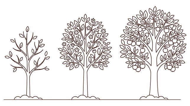 Three apple trees showcasing growth stages from seedling to mature.