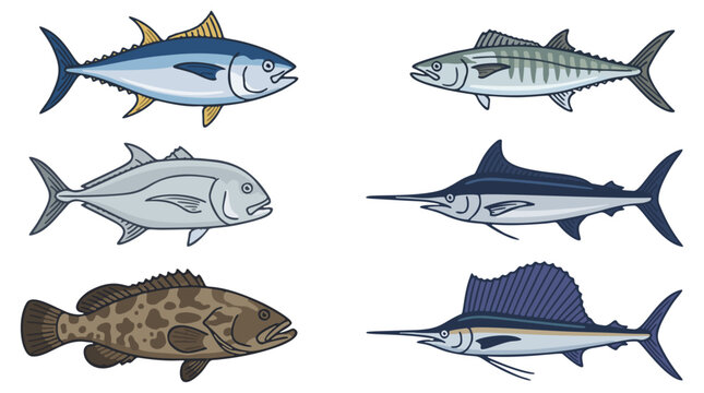 Set of Six Ocean Fish Vector Illustrations Tuna, Mackerel, Giant Trevally, Grouper, Marlin, Sailfish