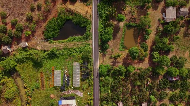 Cinematic top down aerial view of a 90 degree road curve and straight path through tropical farms Scenic drone footage showing irrigation ponds and fruit orchards in a symmetric rural landscape