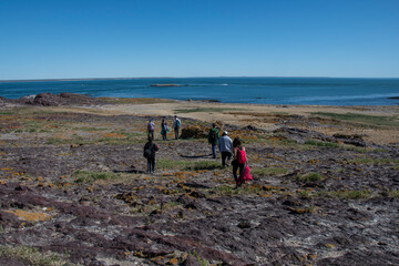 Fototapeta premium Tourists observing the wild nature, Puerto Deseado Nature Reserve, Santa Cruz Province, Patagonia Argentina.