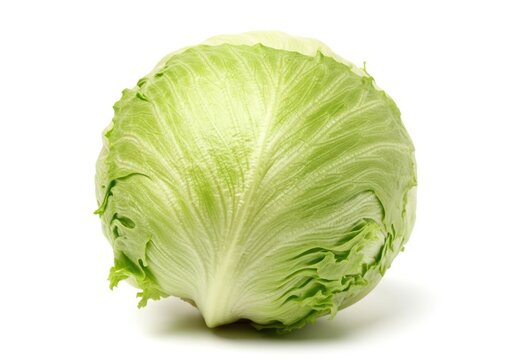 Fresh green cabbage head with leafy texture