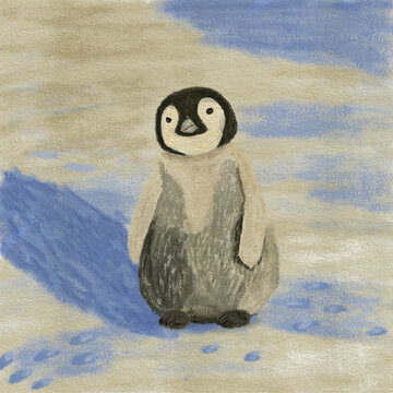 little penguin with sunset