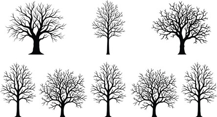 Obraz premium Collection of Black Bare Tree Silhouettes Isolated on White Background for Nature Design and Seasonal Vector Artwork