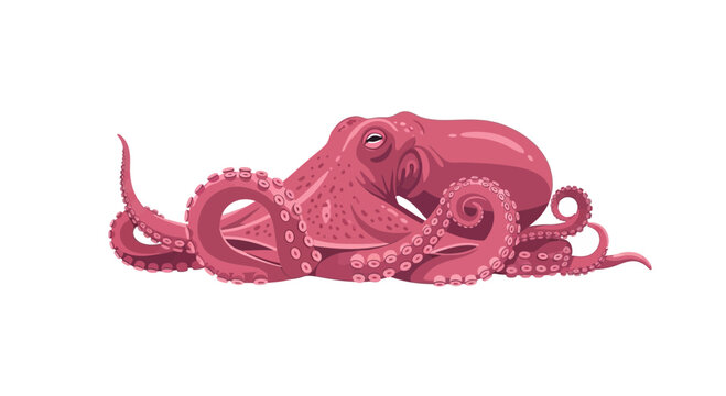 Pink Octopus Tentacles Marine Life Creature.