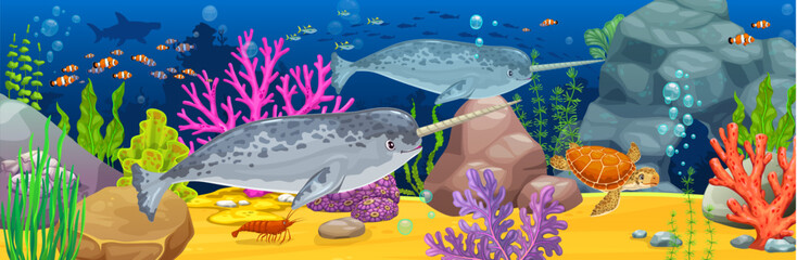 Cartoon narwhal animals, seaweeds and coral reefs. Ocean underwater environment landscape vector background with two narwhals and sea turtle characters, fish schools, seaweeds and corals, stones © Vector Tradition