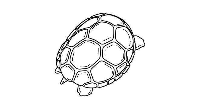 Hand-drawn line art illustration of a turtle shell pattern on a white background.