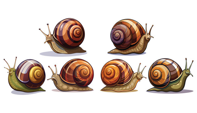 set snail shell clipart vector illustration