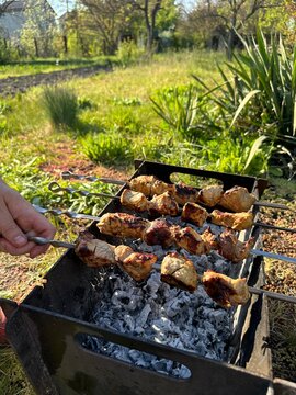 Man turns skewer with grilled hot meat on barbecue at picnic