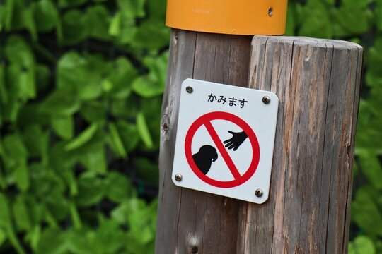 Traffic Warning Sign on Forest Park Path Green Nature Environment