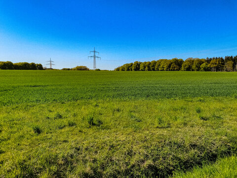 rural landscape with a windmill