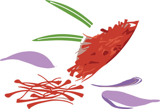 A vector collection featuring detailed purple saffron flower illustrations along with black silhouettes of crocus plants and red threads isolated on a grey background.