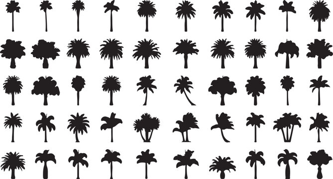 Black palm tree silhouettes on white background