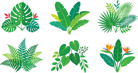 Colorful tropical leaves and bird of paradise flowers vector art set © Cansu