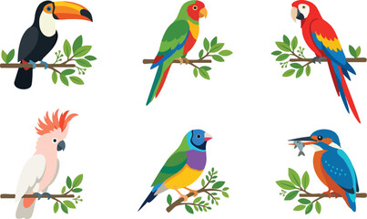 Obraz premium Colorful tropical birds perched on leafy branches vector art