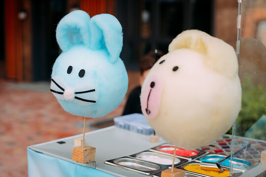 Animal shaped cotton candy for sale at park