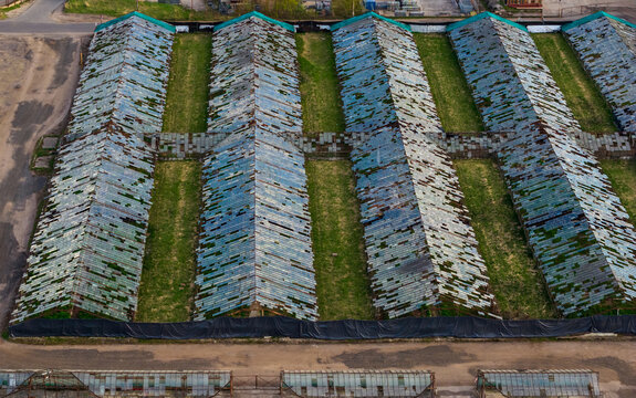 Aerial view of long rows of abandoned greenhouses with weathered glass roofs and green grass in Vilnius County, Lithuania.