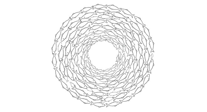 School of fish swimming in a circular motion creates a mesmerizing underwater pattern in this simple black and white line art illustration.