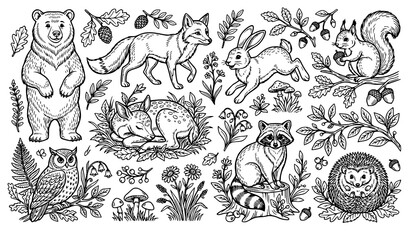 Obraz premium Woodland Forest Animals and Nature Elements Coloring Page Outline Vector Collection