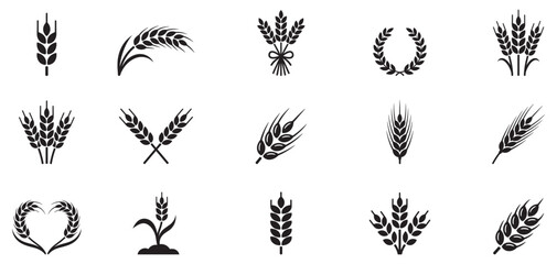 Wheat ears icon set. Barley and rye grain spikes. Agriculture and organic food symbol. Vector illustration. EPS 10 © Jeremy_Show