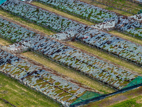Aerial view of abandoned greenhouses with broken glass panels and moss growth on a grassy field Vilnius County, Lithuania.