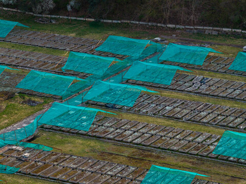 Aerial view of rows of snail breeding beds covered with green protective netting on a grassy field near a forest Vilnius County, Lithuania.