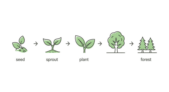 The Cycle of Life: Visual representation of a seed's journey from humble beginnings to a flourishing forest, symbolizing growth and transformation.