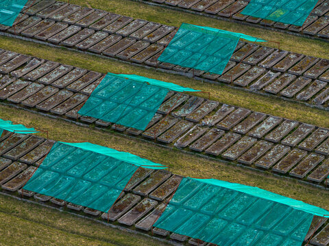 Aerial view of rows of rectangular concrete drying beds covered with green mesh on a grassy field in Vilnius County, Lithuania.