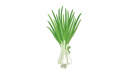 Obraz premium Fresh green onion bunch flat vector illustration isolated on white background for menu poster and organic food label