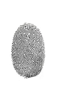 Black fingerprint impression isolated on transparent background for biometric identity security concept